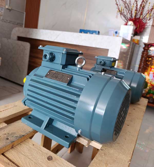 Motor 3KW-4P Winston