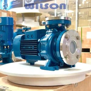 Máy bơm nước trục ngang 1HP YSW 32-125A-0.75 Wilson - hình 1