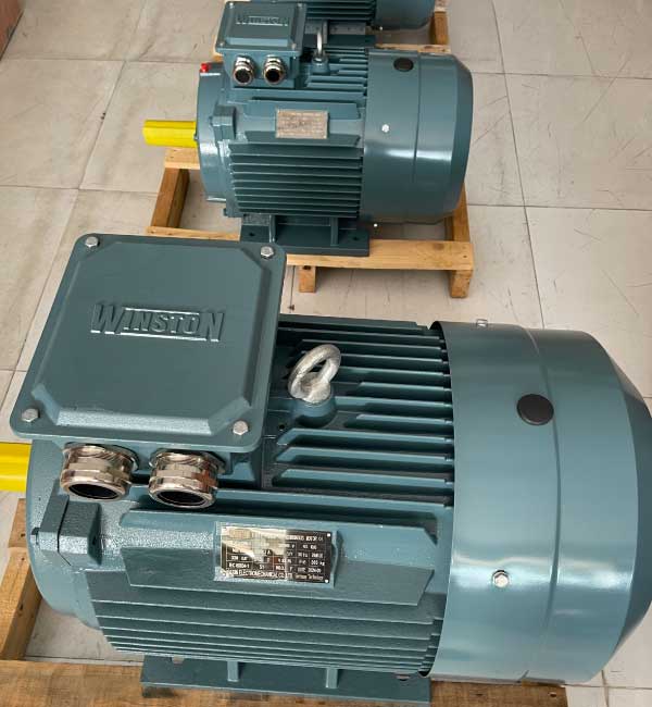 Motor Winston 22Kw 30HP