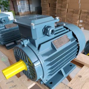 Motor 3KW-4P Winston